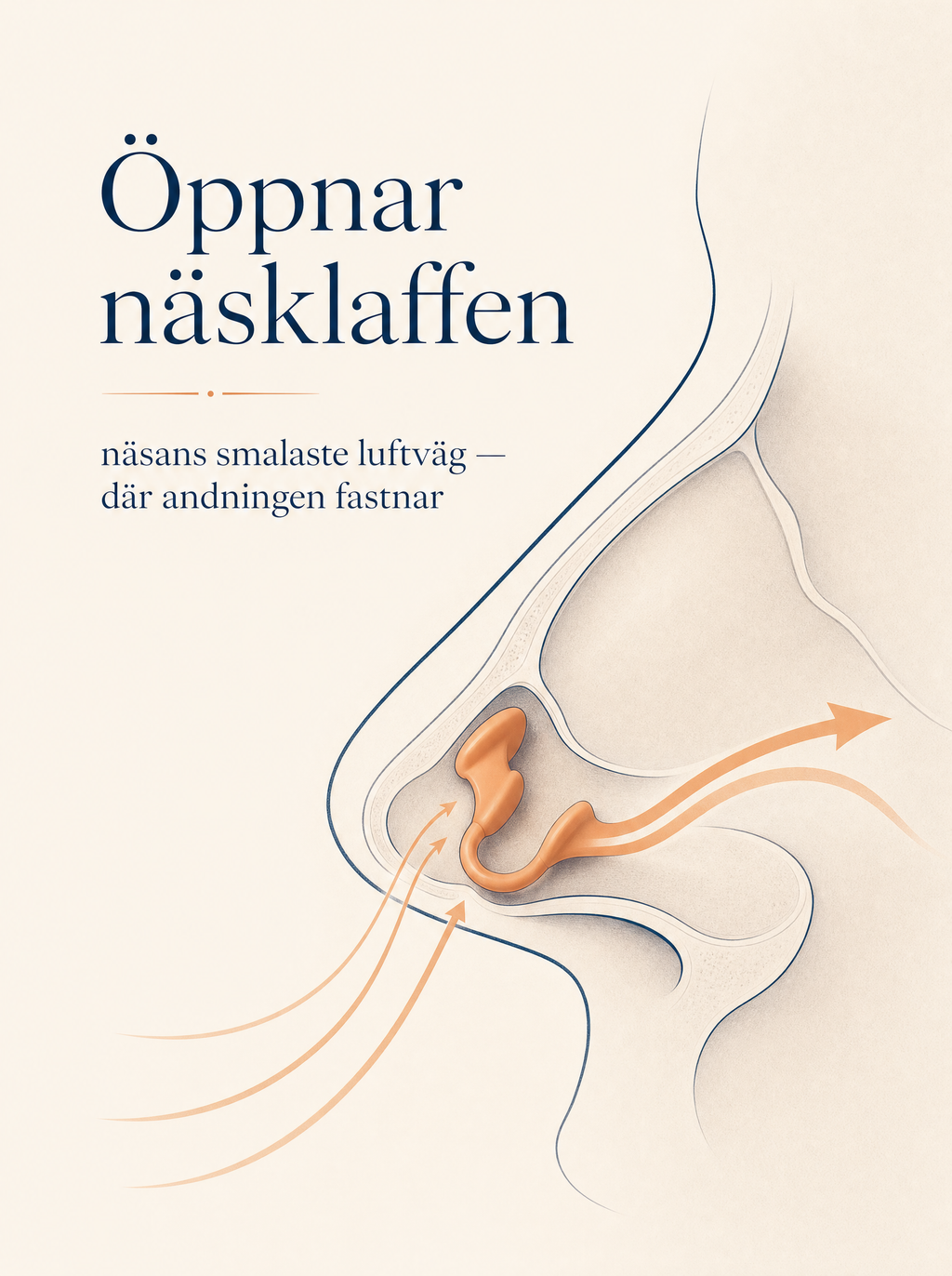 Nattvia Näsvidgare